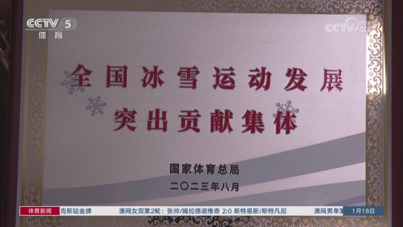 的国际赛事